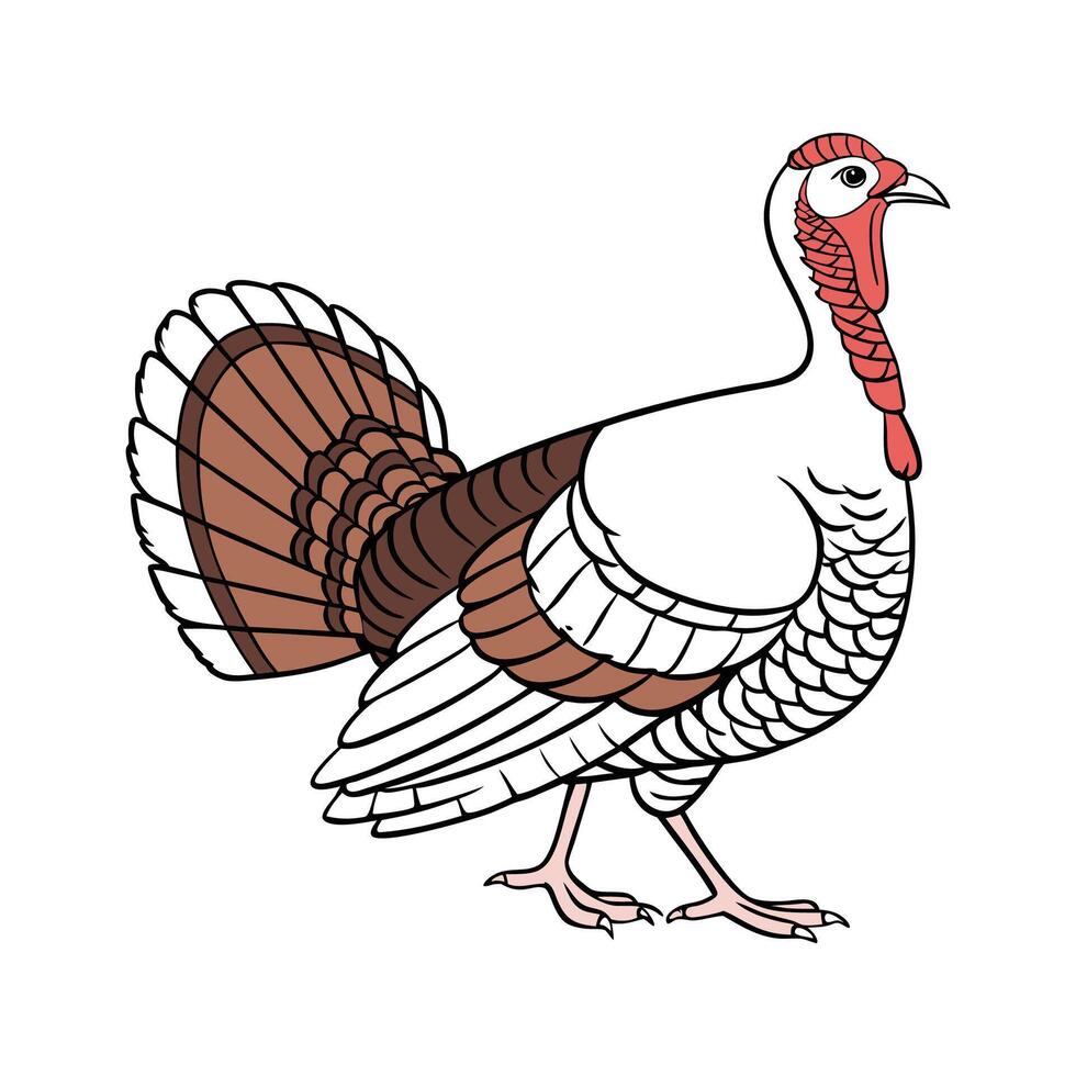 Unique Turkey Hen Colorful Illustration vector