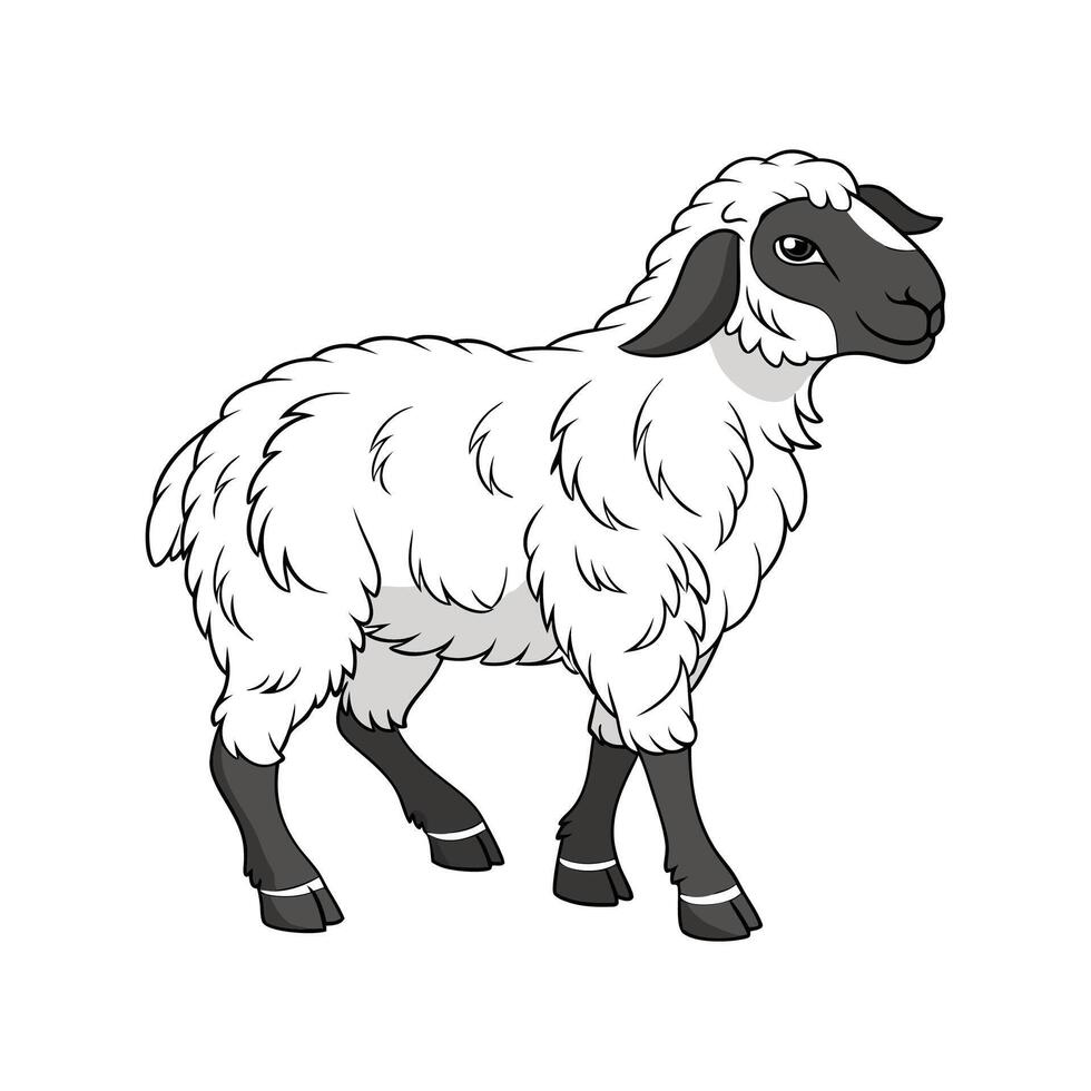 Vibrant Valais Blacknose Sheep Realistic Illustration vector