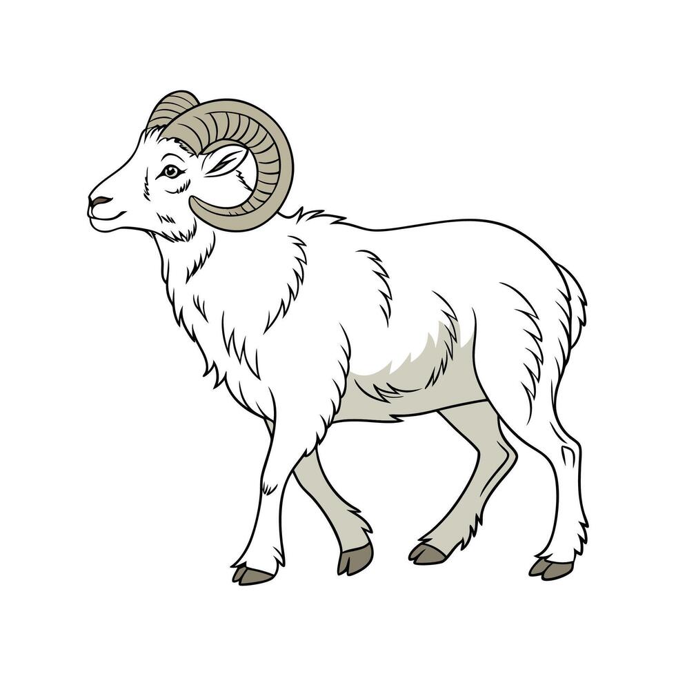 Realistic Wiltshire Horn Sheep Colorful Art vector