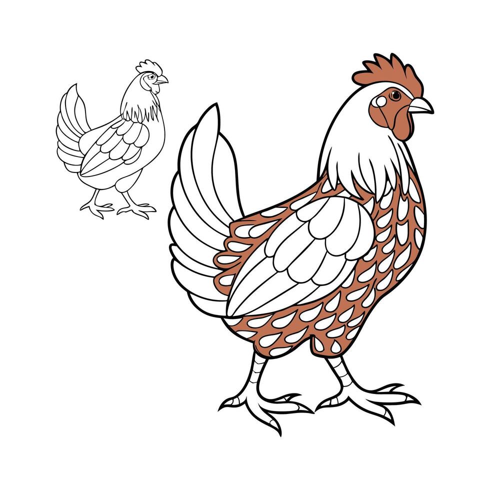 Distinct Wyandotte Chicken Realistic Color Illustration vector