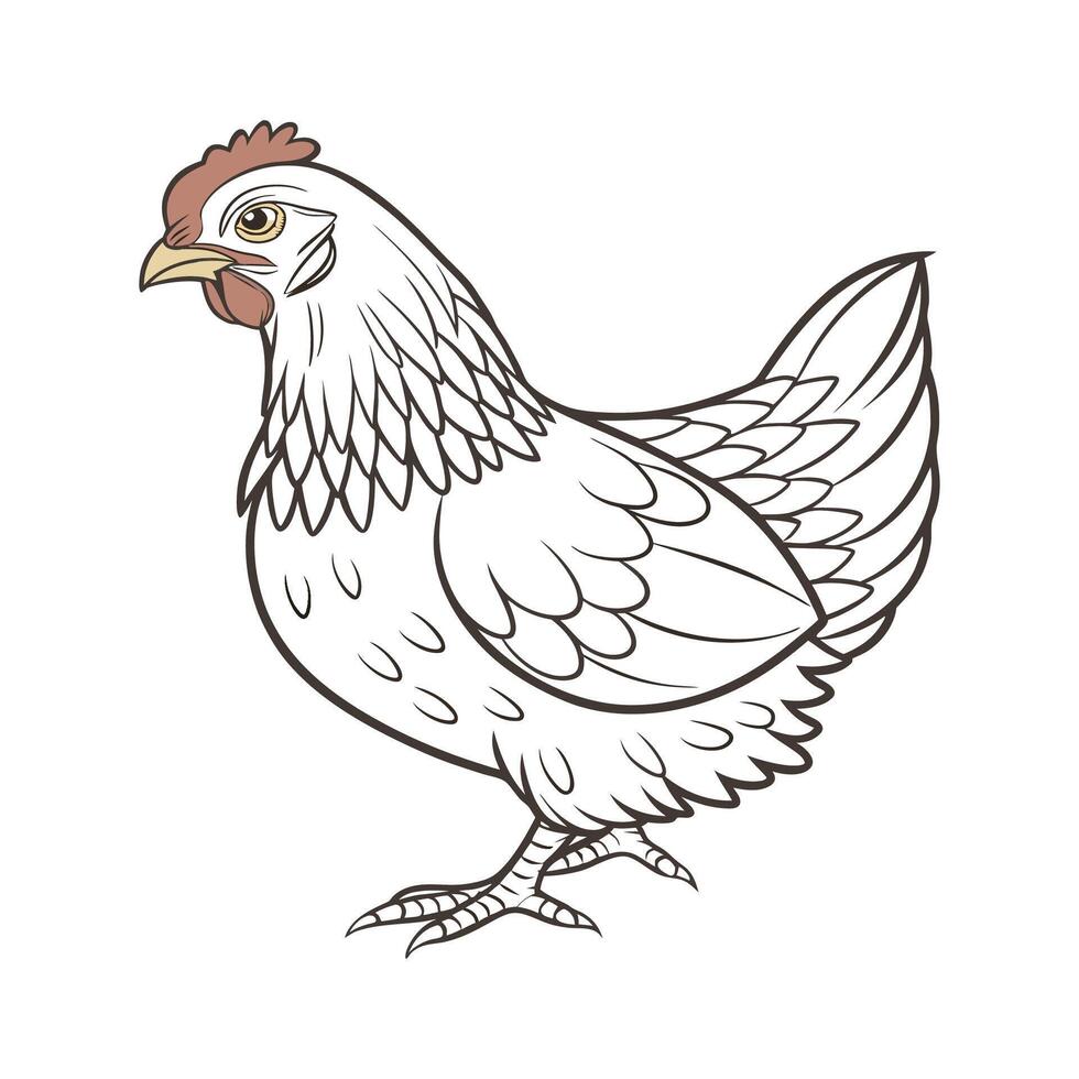 Unique Wyandotte Chicken Colorful Art vector