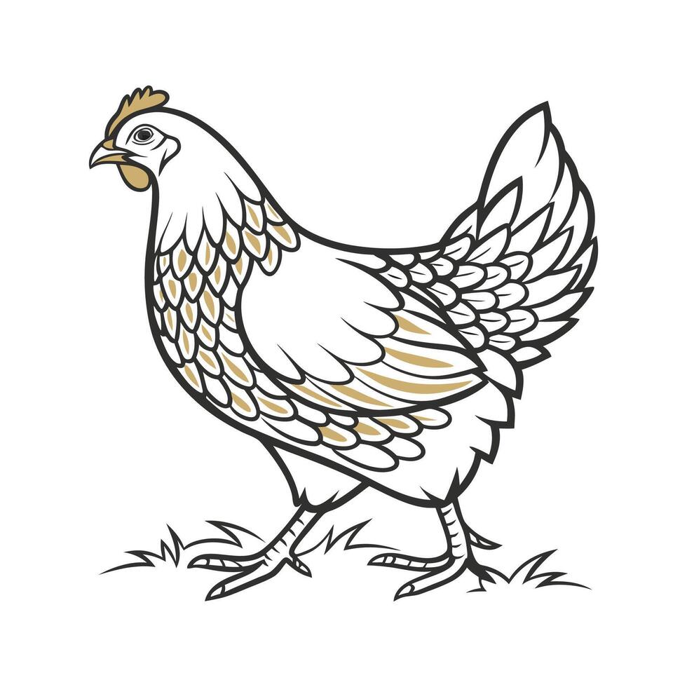 Unique Wyandotte Chicken Colorful Illustration vector