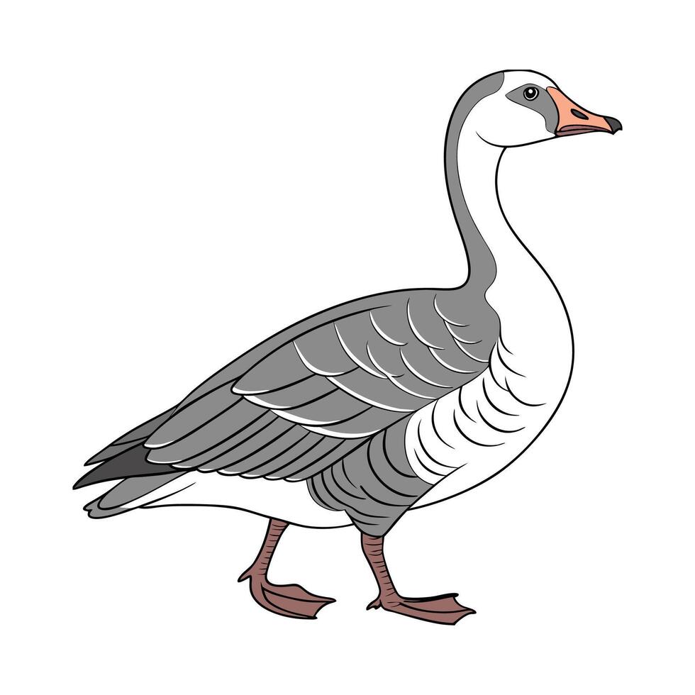Captivating African Goose Realistic Illustration vector