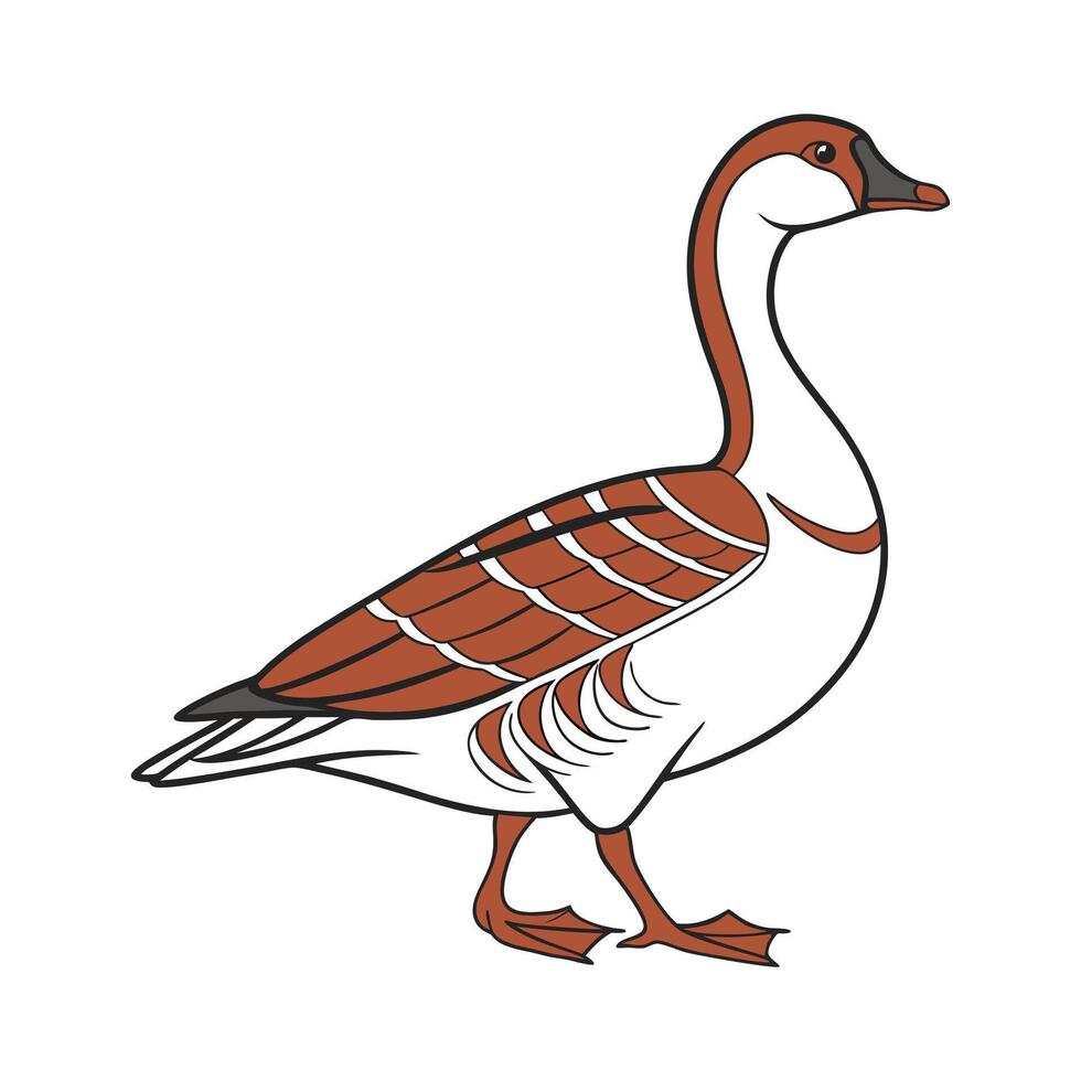 Vibrant Color Illustration of African Goose vector