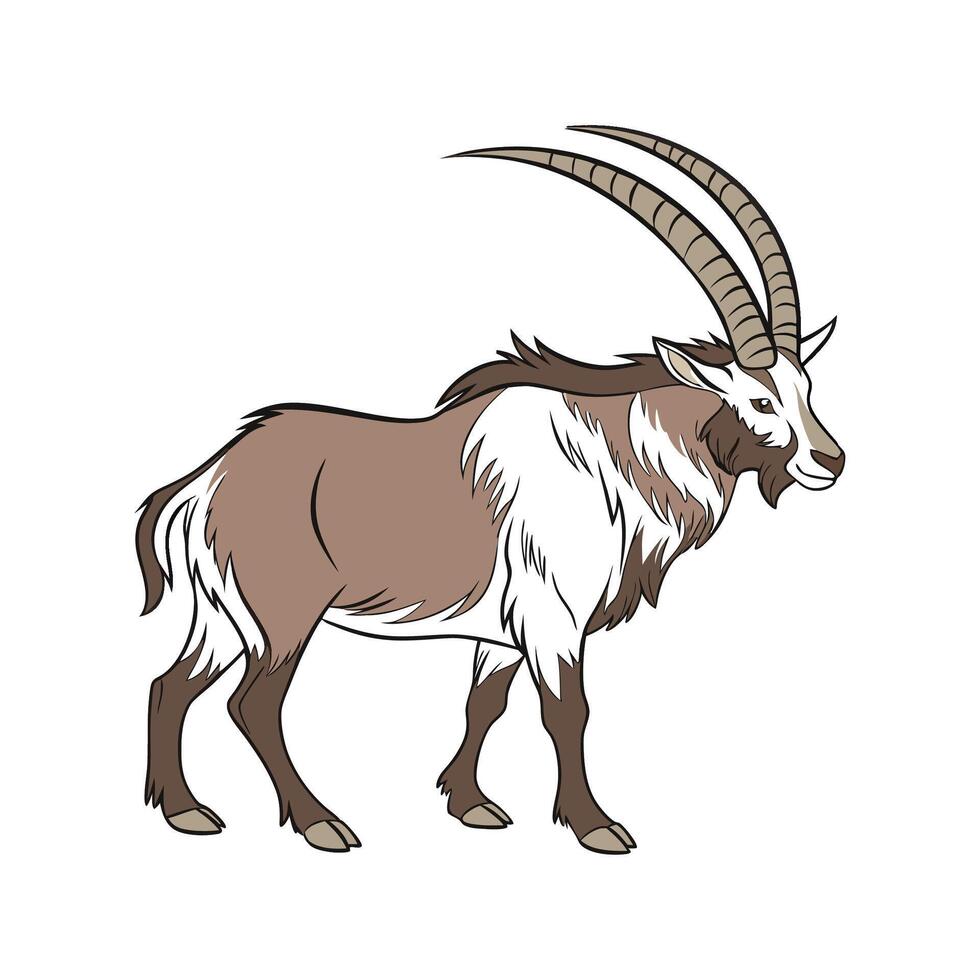 Distinct Zebu Realistic Color Design with Outline vector