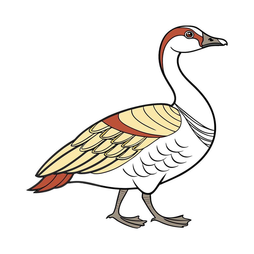 Stunning African Goose in Realistic Colors vector
