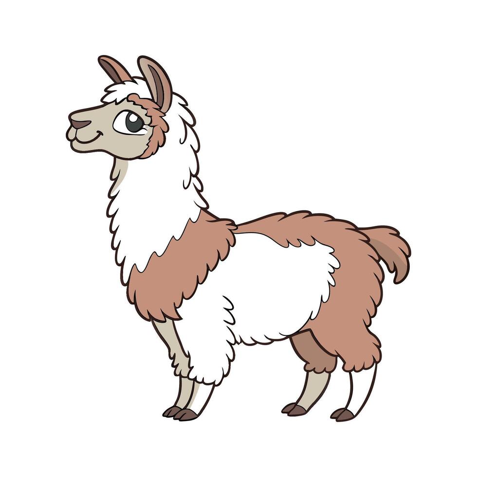 Vibrant Outline Alpaca Realistic Color Illustration vector
