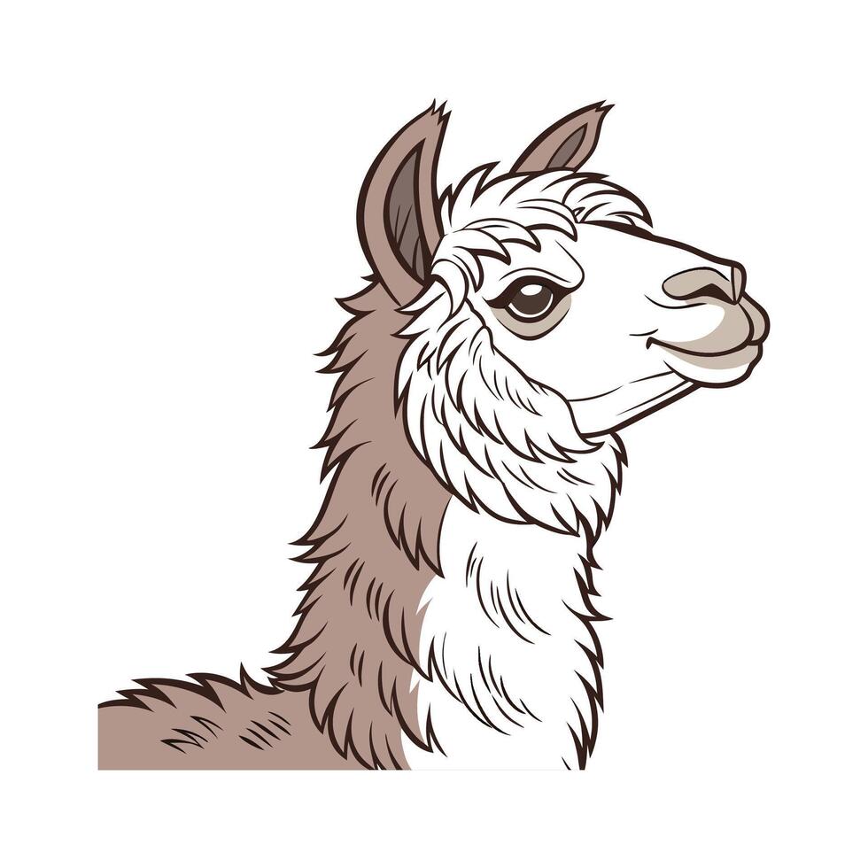 Adorable Alpaca in Realistic Outline Style vector