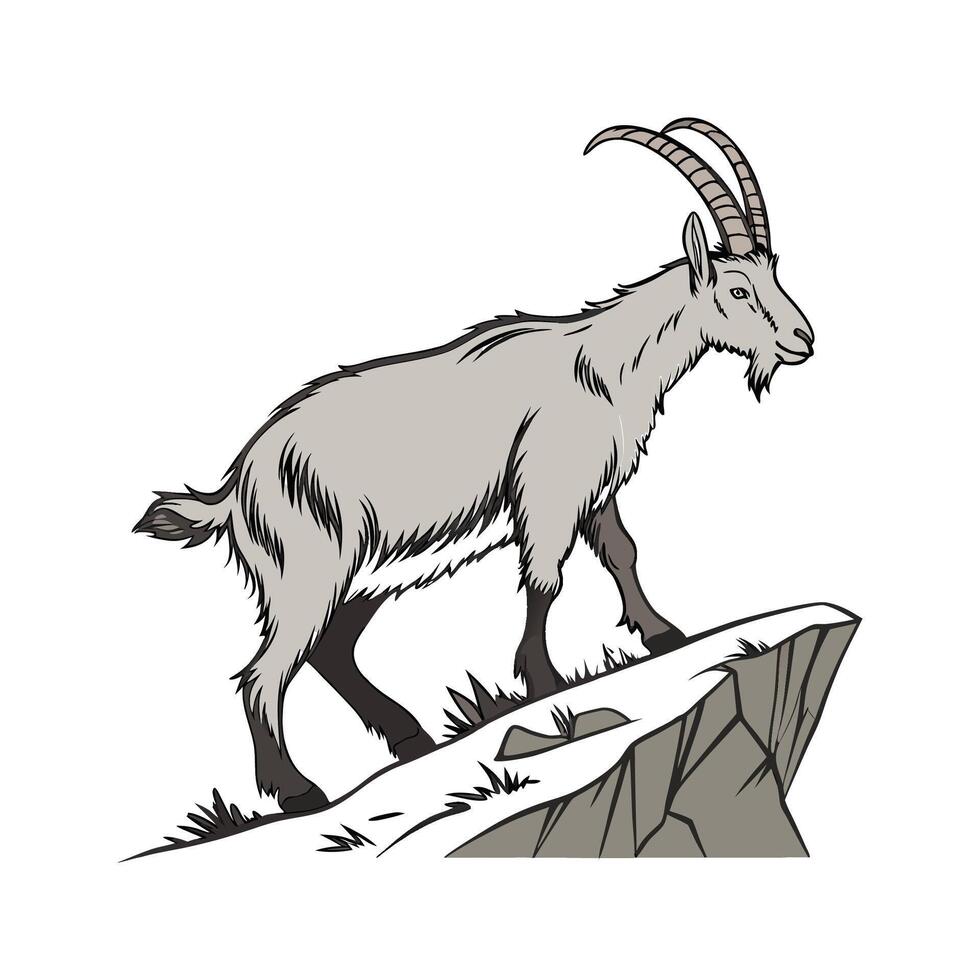 Elegant Alpine Goat Realistic Illustration in Color vector