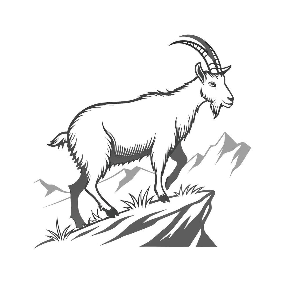 Beautiful Alpine Goat in Realistic Outline Art vector
