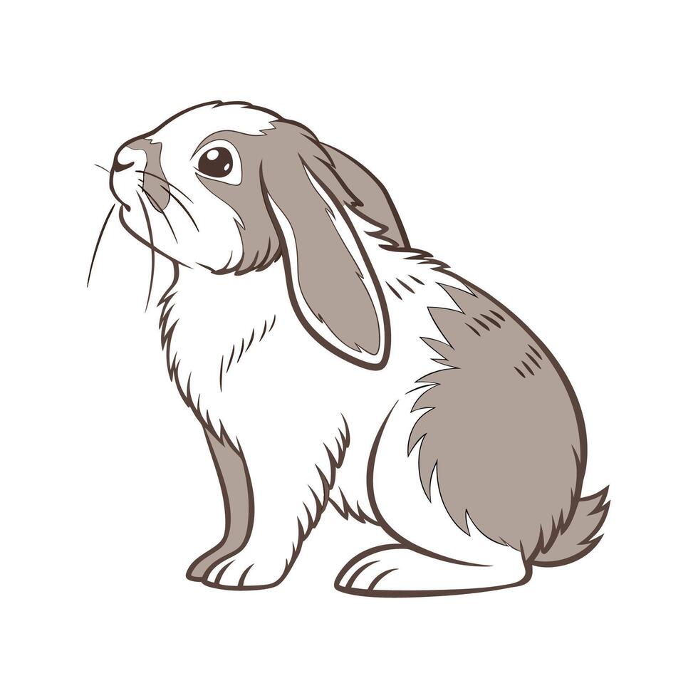 Charming Realistic Fuzzy Lop Rabbit in Color vector