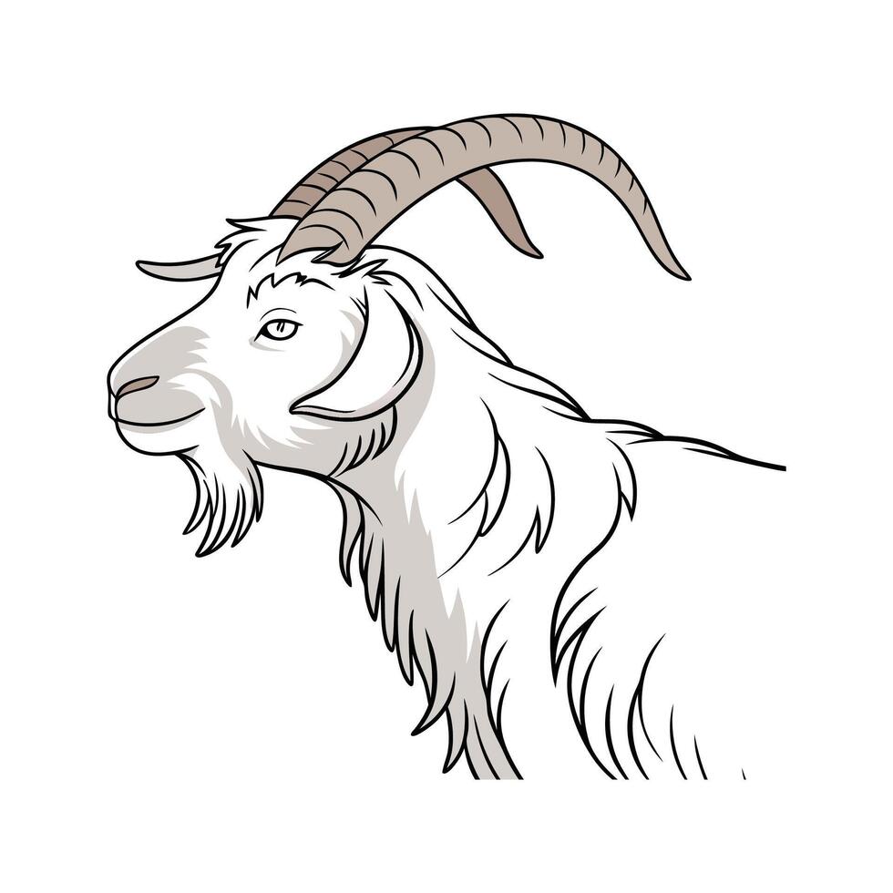 Stylish Angora Goat Realistic Color Illustration vector