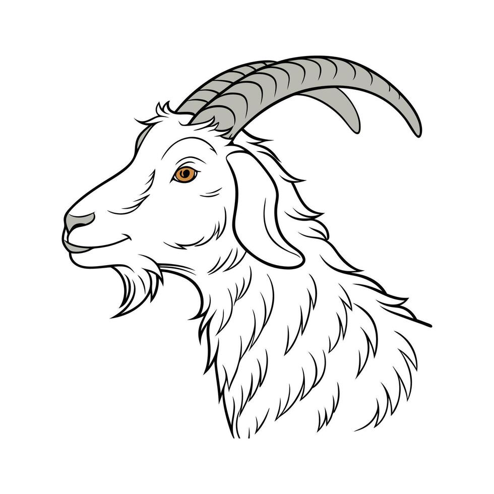 Adorable Realistic Angora Goat Illustration vector