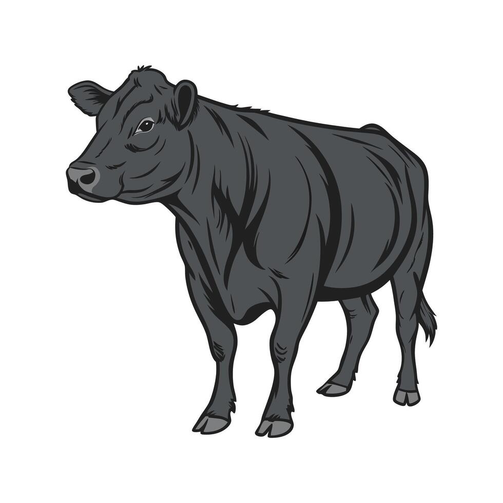 Charming Outline of Angus Cow in Color vector