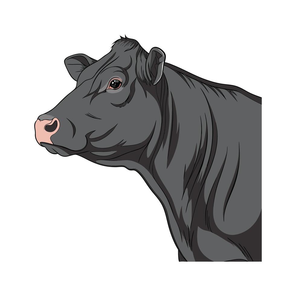 Elegant Angus Cow in Realistic Color Art vector