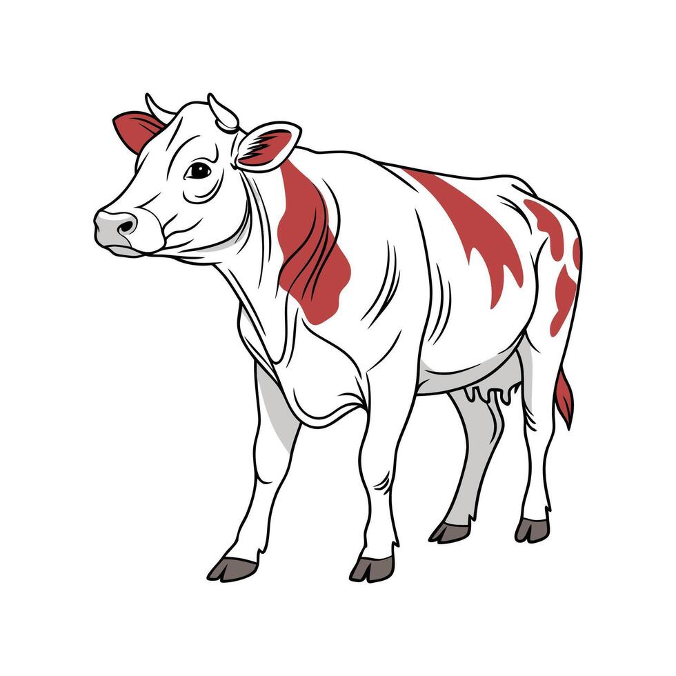 Elegant Belgian Blue Cow in Realistic Colors vector