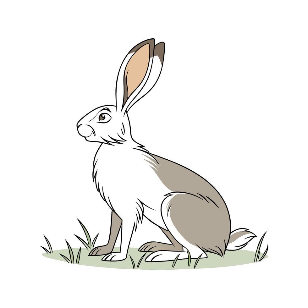 Charming Belgian Hare Realistic Outline Illustration vector