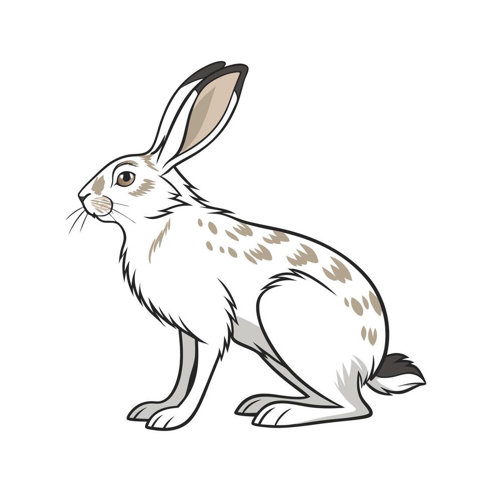 Captivating Belgian Hare in Realistic Colors vector