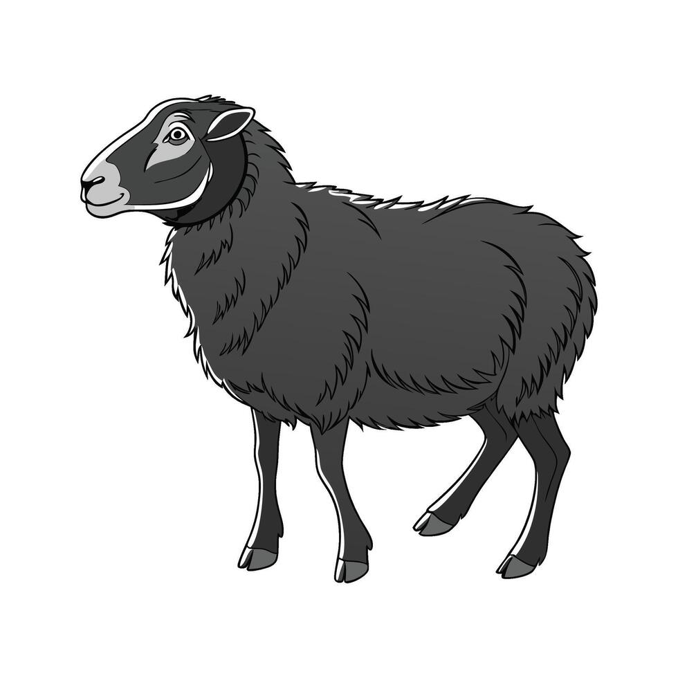 Charming Black Welsh Mountain Sheep Illustration vector