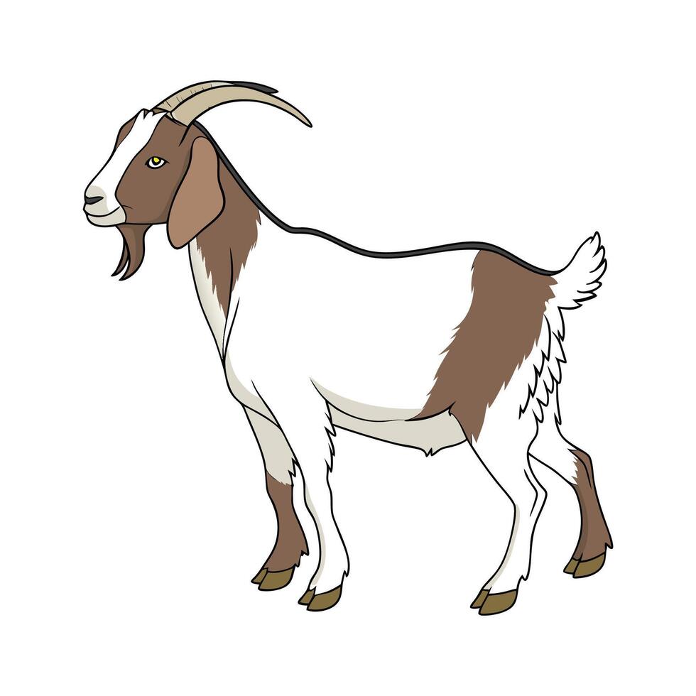 Captivating Realistic Color Illustration of Boer Goat vector