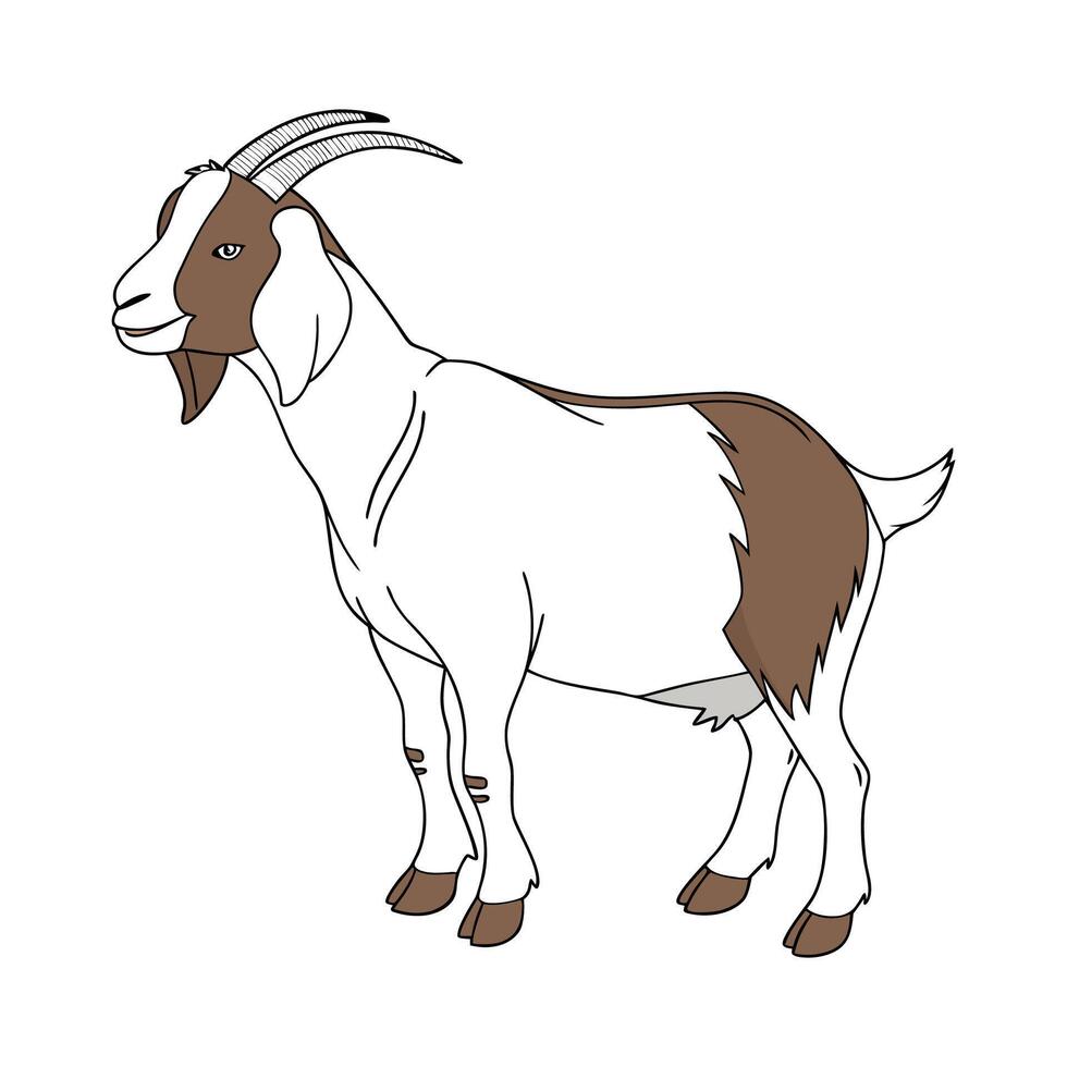Captivating Boer Goat in Vibrant Outline Style vector