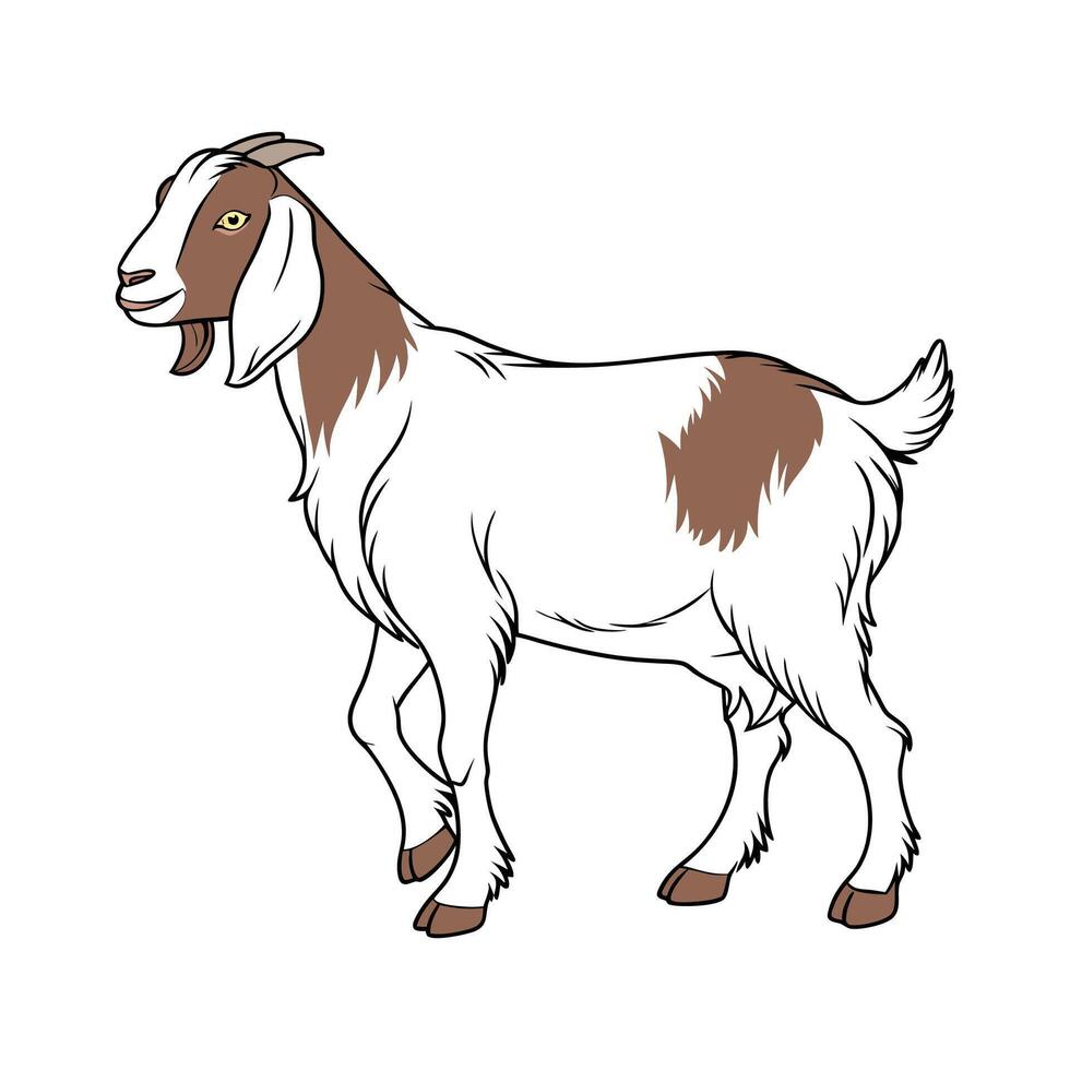 Charming Realistic Outline of Boer Goat vector