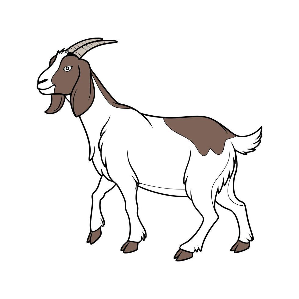 Adorable Boer Goat Realistic Color Illustration vector