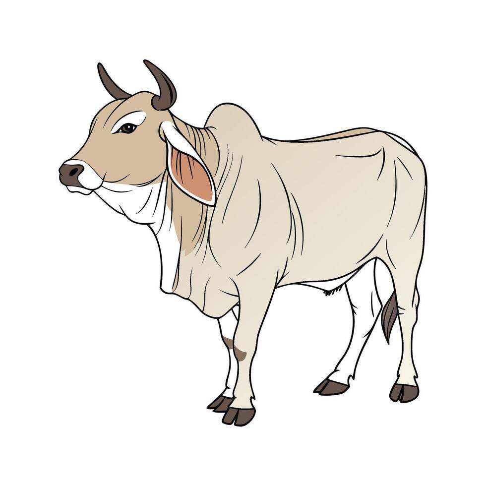 Stylish Brahman Cow in Vibrant Realistic Colors vector