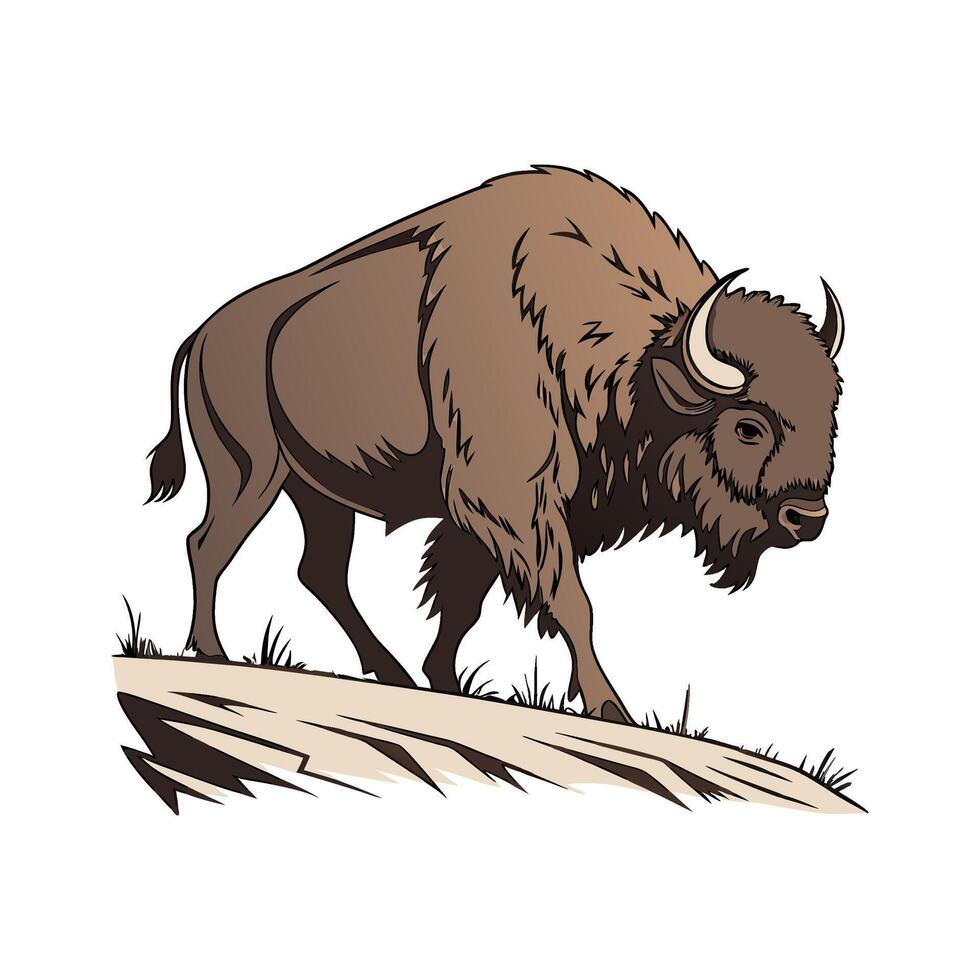 Charming Realistic Color Illustration of Buffalo vector