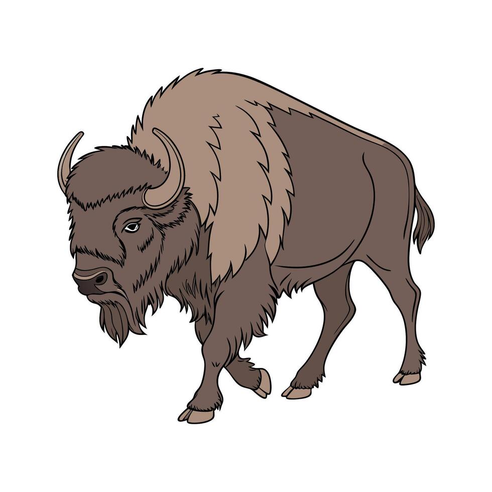 Stylish Buffalo Realistic Color Art vector