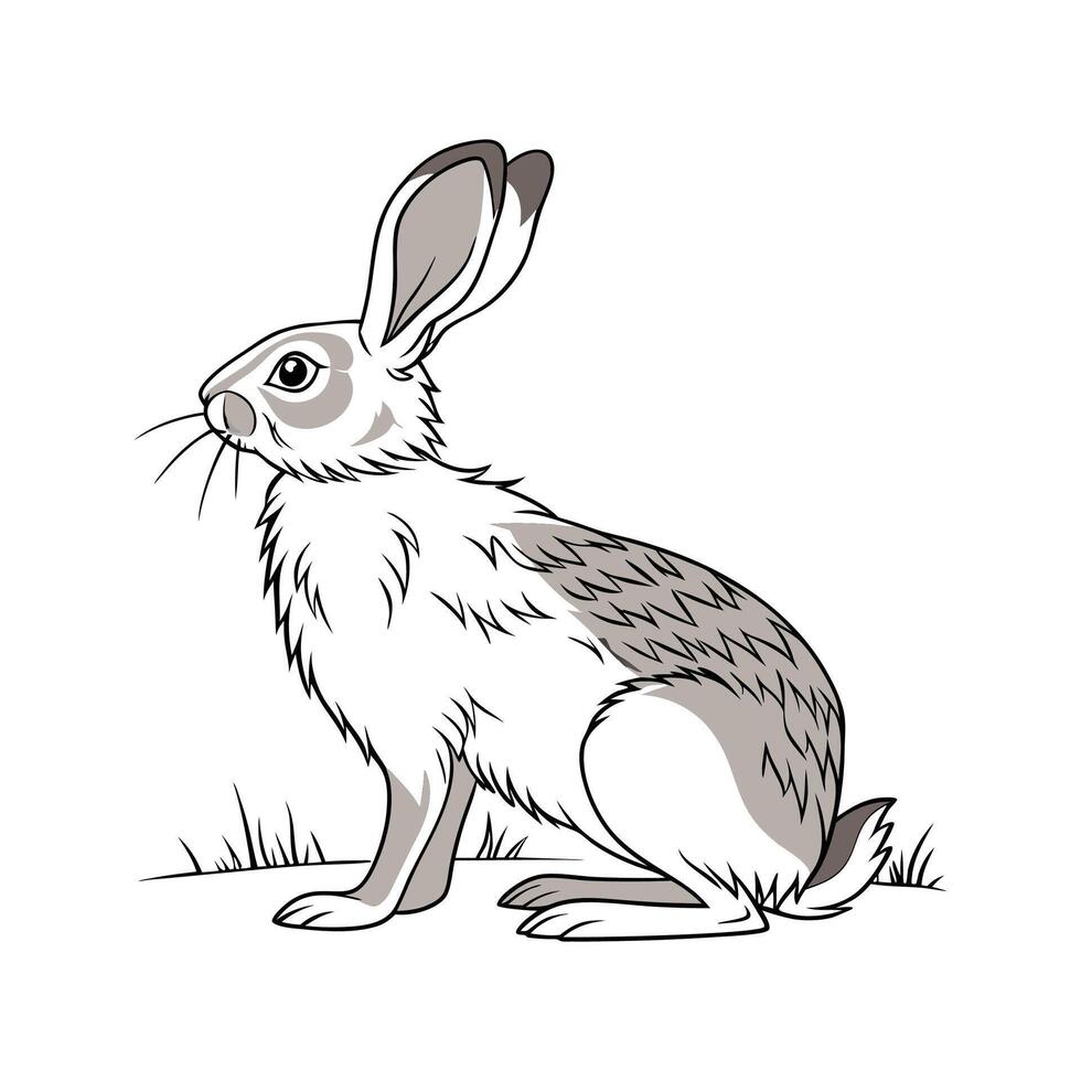 Charming Californian Rabbit in Beautiful Colors vector