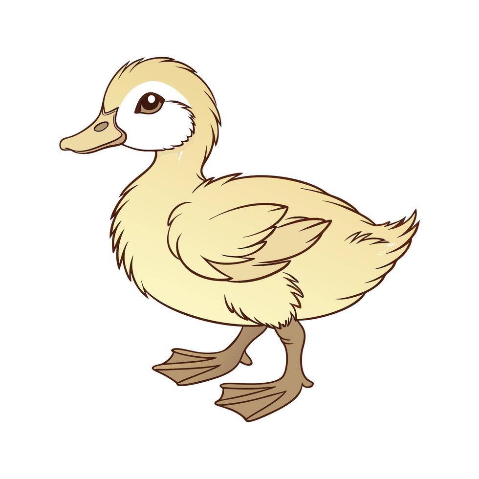 Charming Buff Orpington Duck in Realistic Colors vector