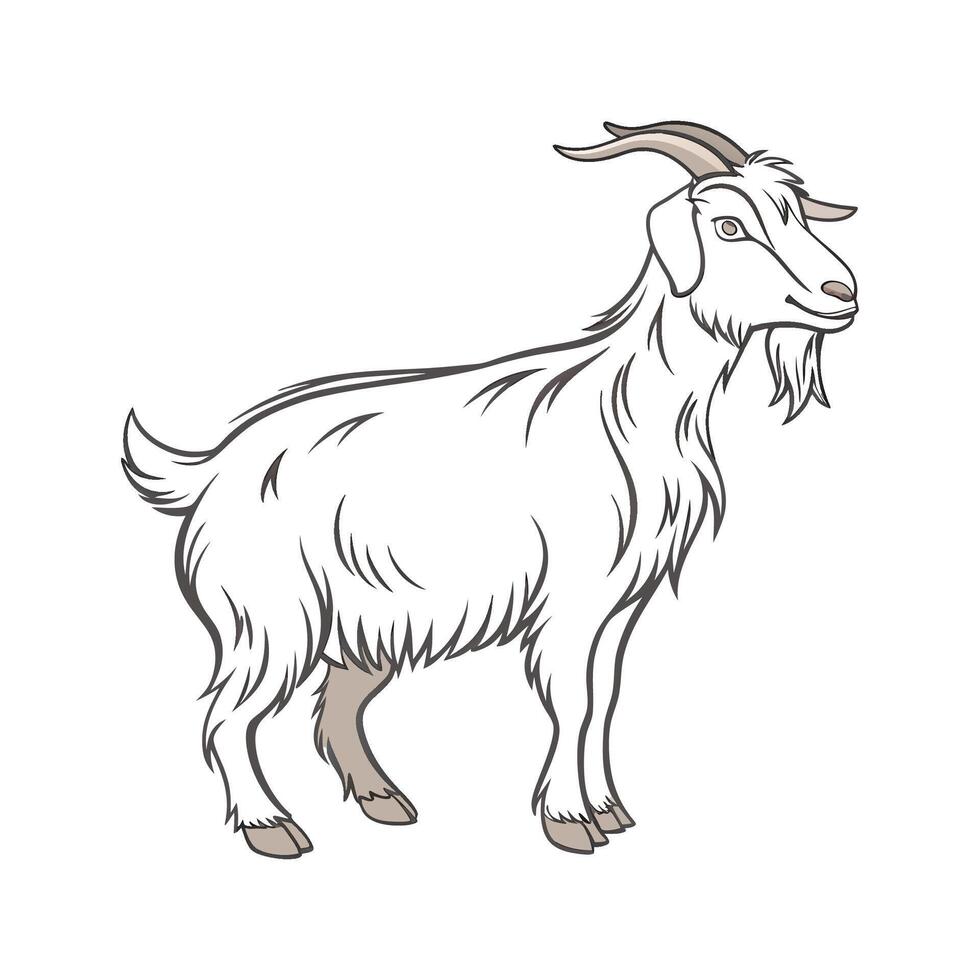 Captivating Cashmere Goat in Realistic Colors vector