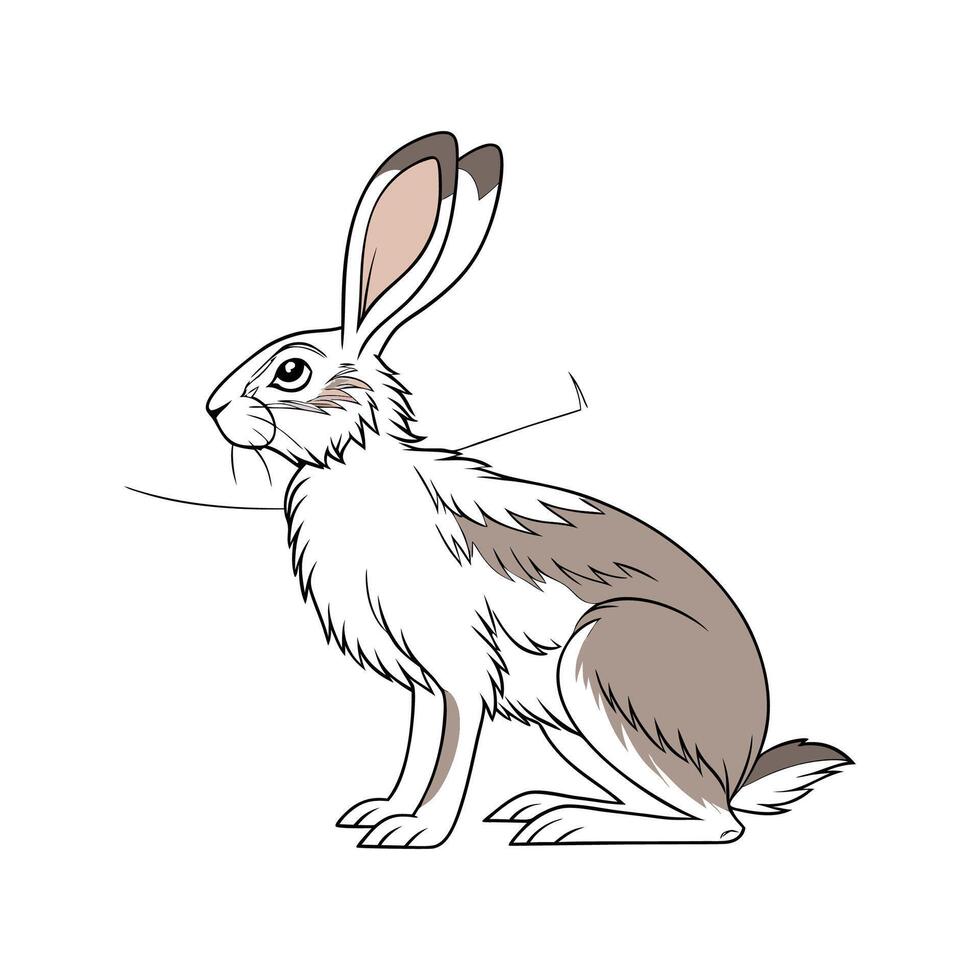 Stylish Realistic Color Illustration of Californian Rabbit vector