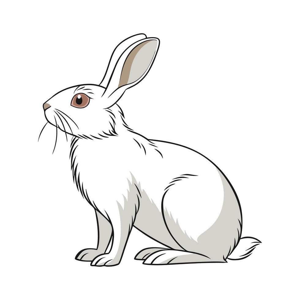 Elegant Realistic Color Illustration of Champagne DArgent Rabbit vector