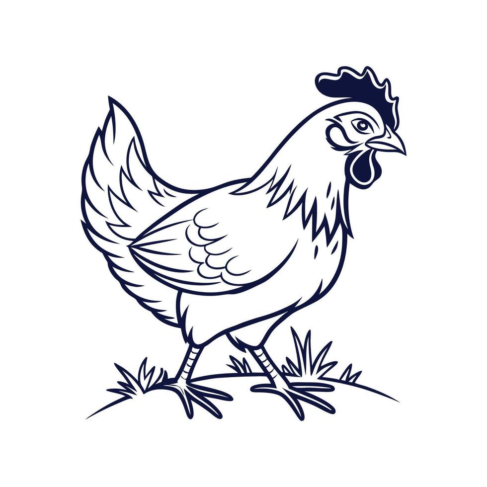 Charming Bold Outline Chicken Color Illustration vector