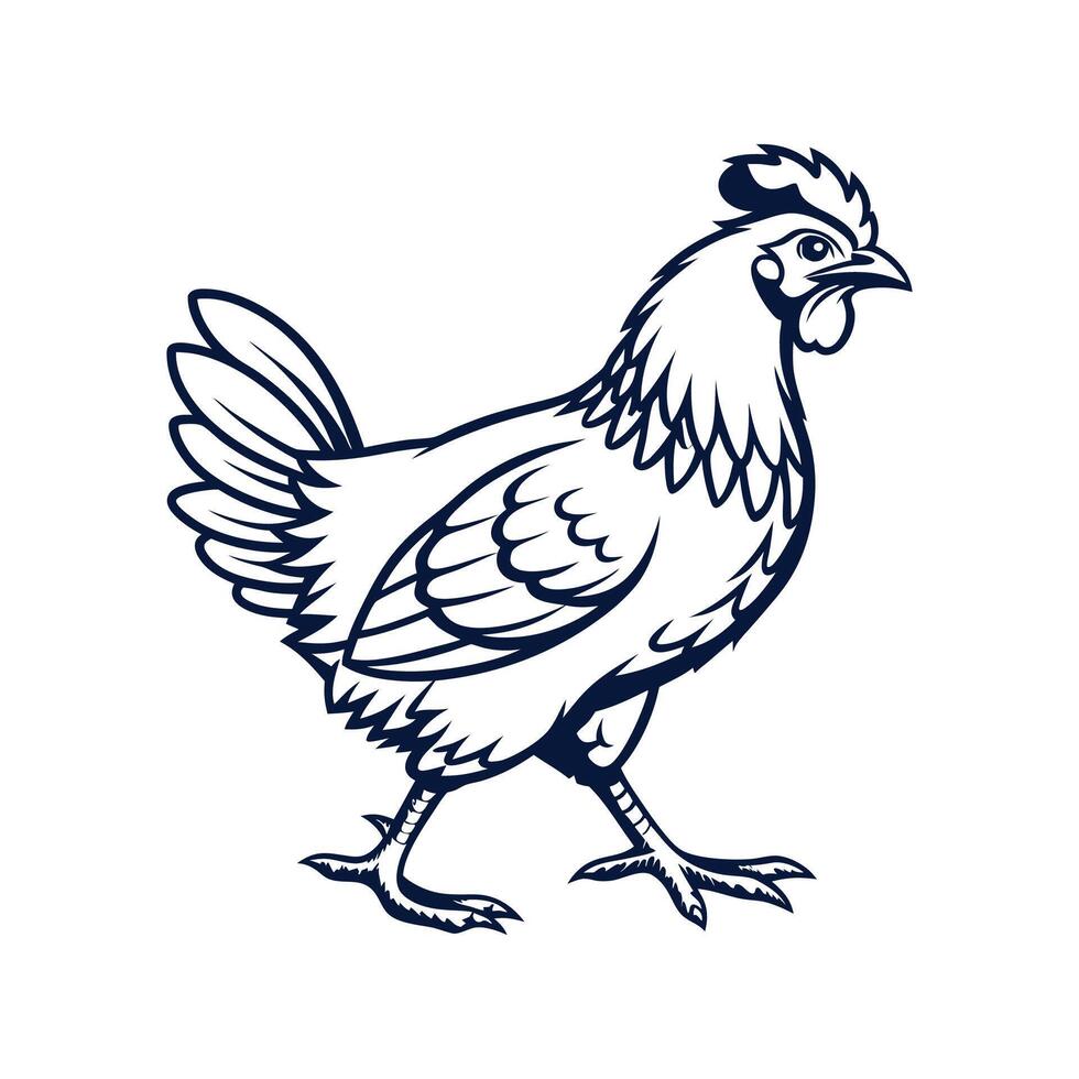 Stylish Chicken in Bold Outline Realistic Colors vector