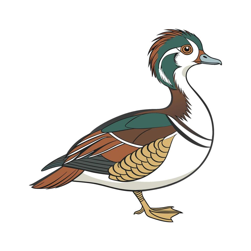 Stylish Crested Duck in Vibrant Outline Colors vector