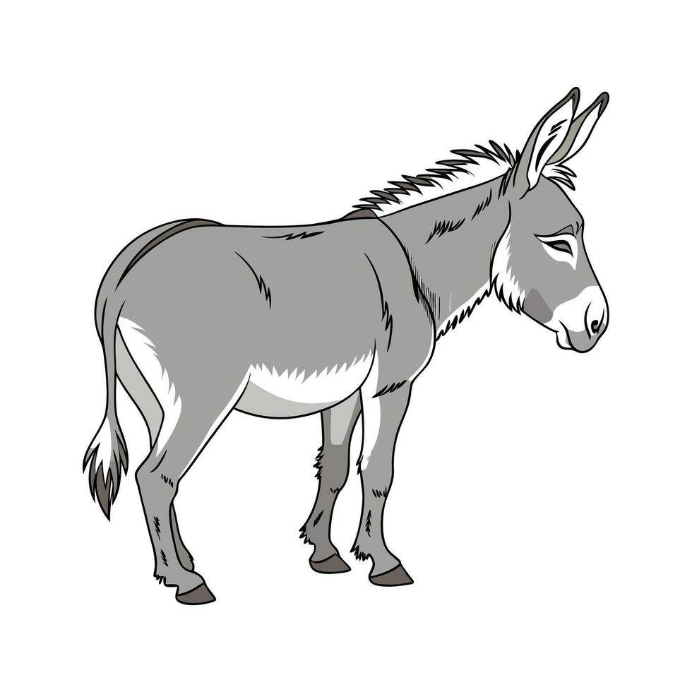 Charming Realistic Outline of Donkey vector
