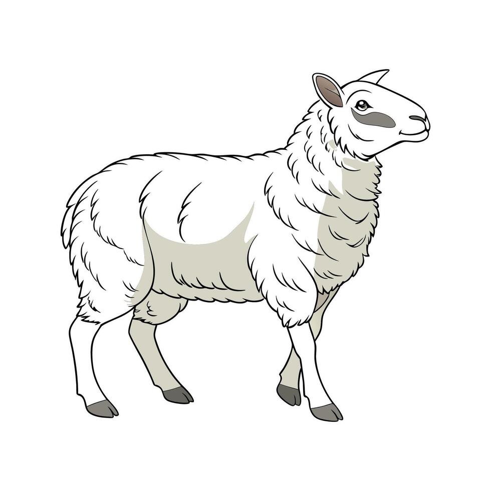 Charming Dorset Sheep Realistic Outline Illustration vector
