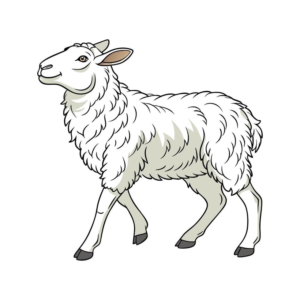 Captivating East Friesian Sheep in Realistic Color vector