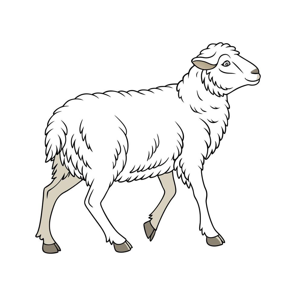 Stylish East Friesian Sheep in Vibrant Colors vector