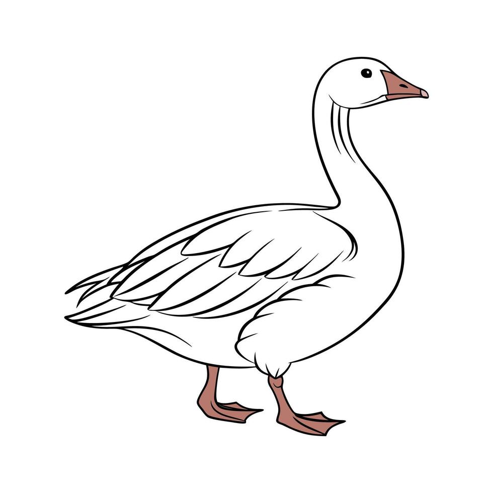 Stylish Realistic Outline of Embden Goose vector