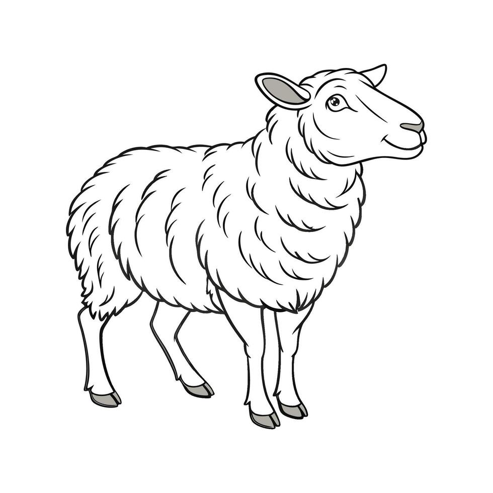 Elegant East Friesian Sheep Color Illustration vector