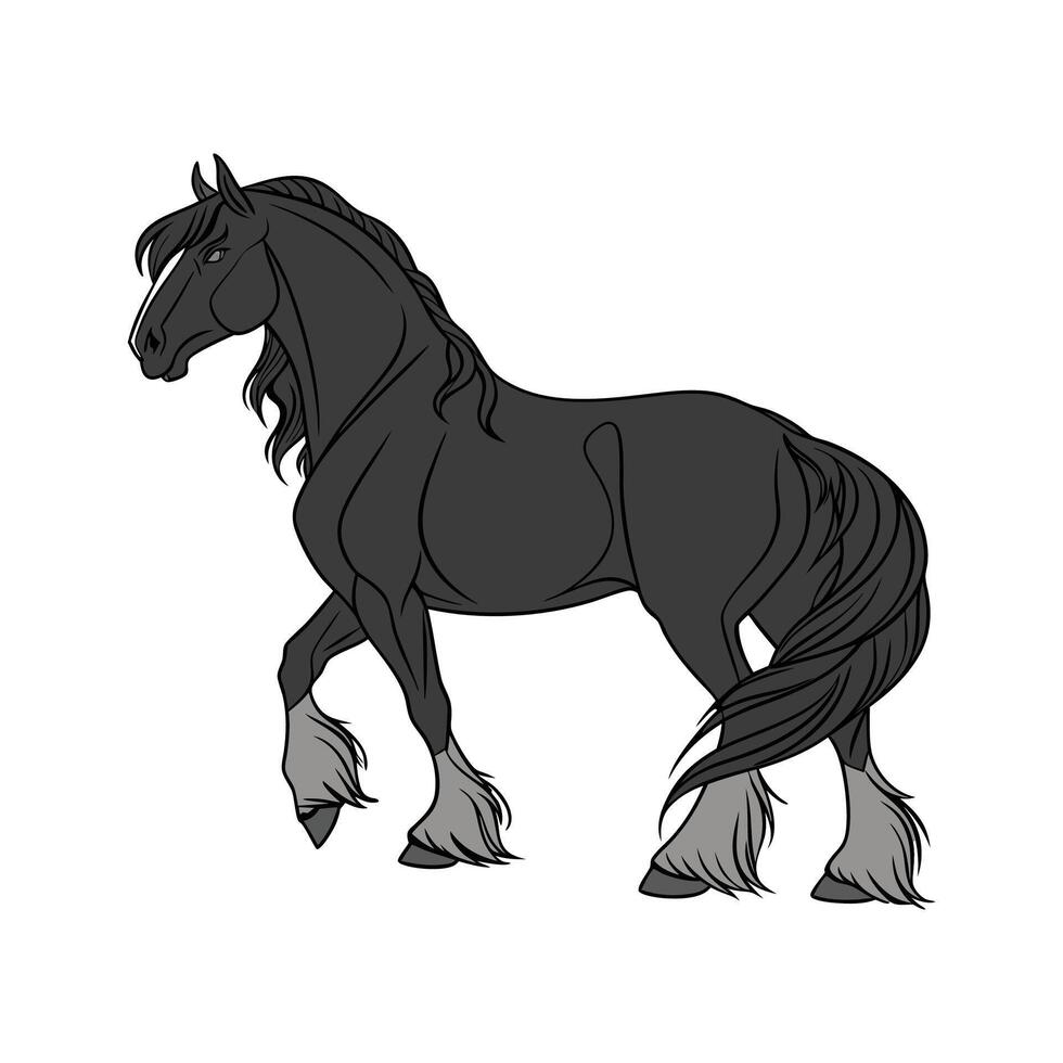 Charming Realistic Color Illustration of Friesian Horse vector