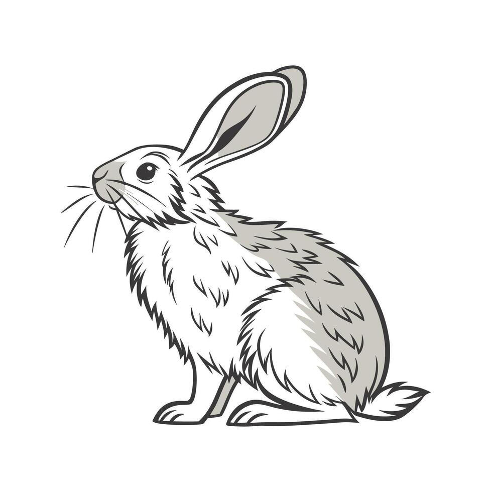 Charming Giant Chinchilla Rabbit in Realistic Colors vector