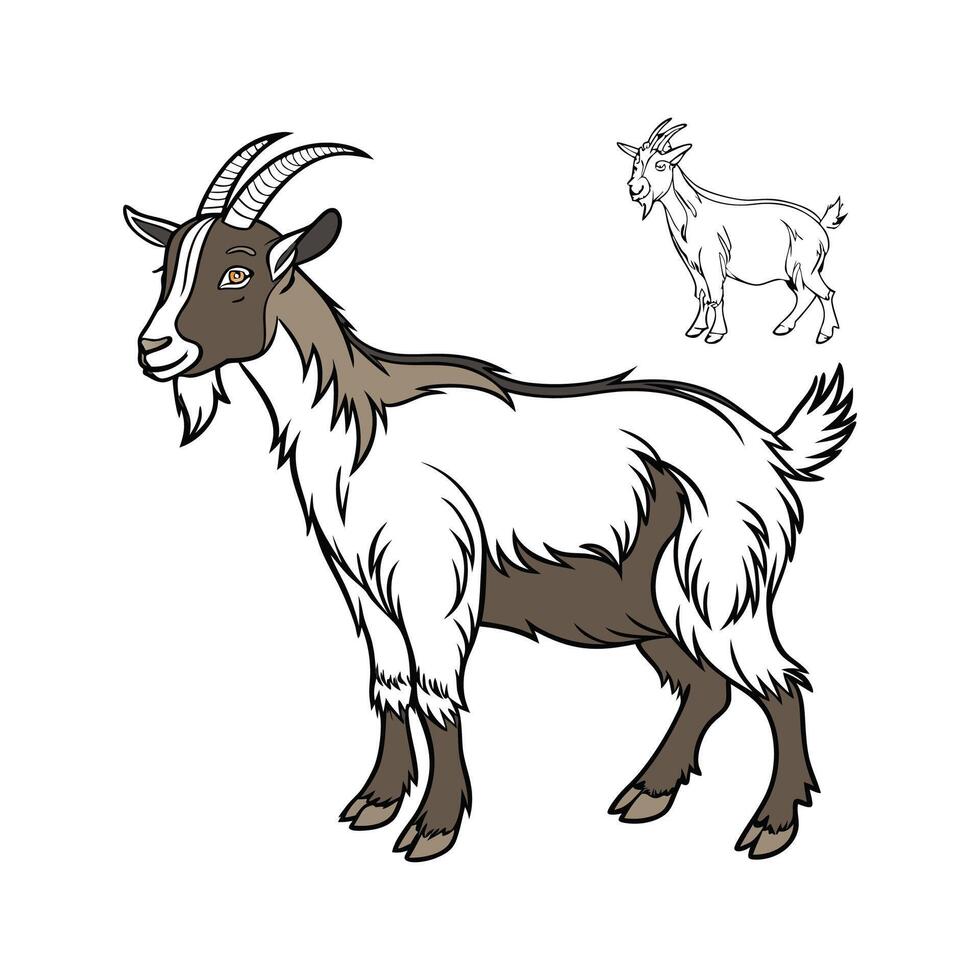 Charming Goat Realistic Outline in Color vector