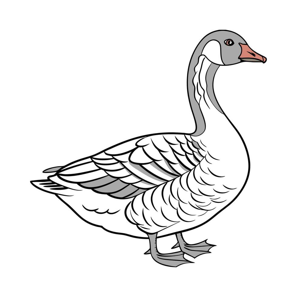 Charming Goose in Realistic Color vector