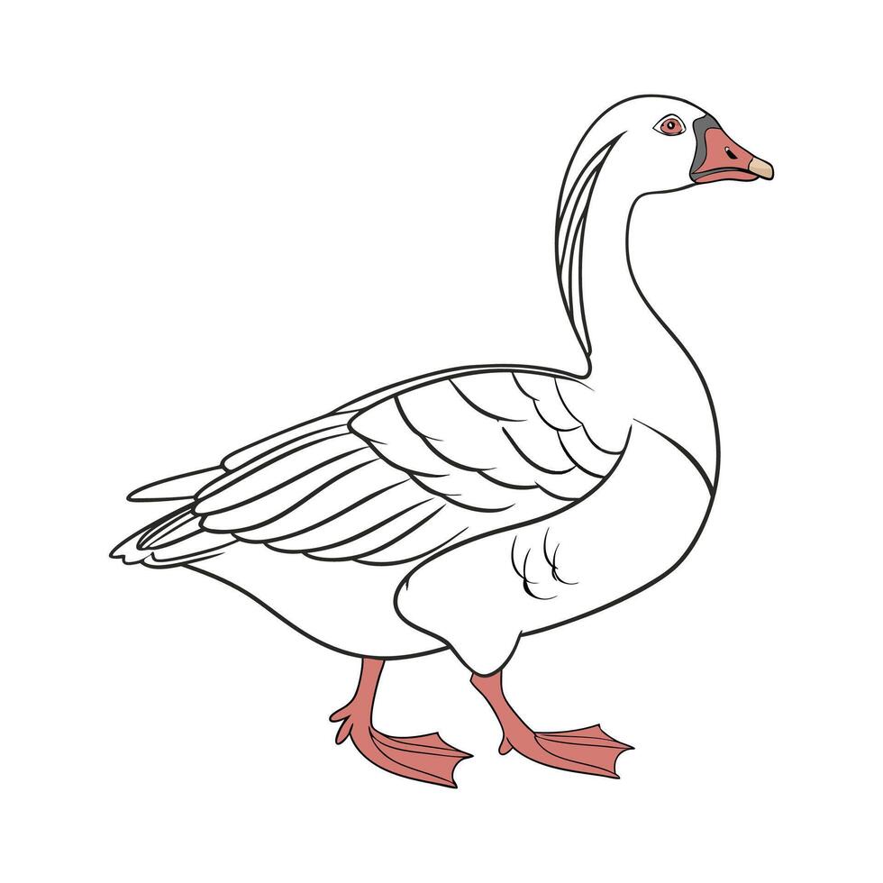 Stylish Realistic Outline of Goose vector