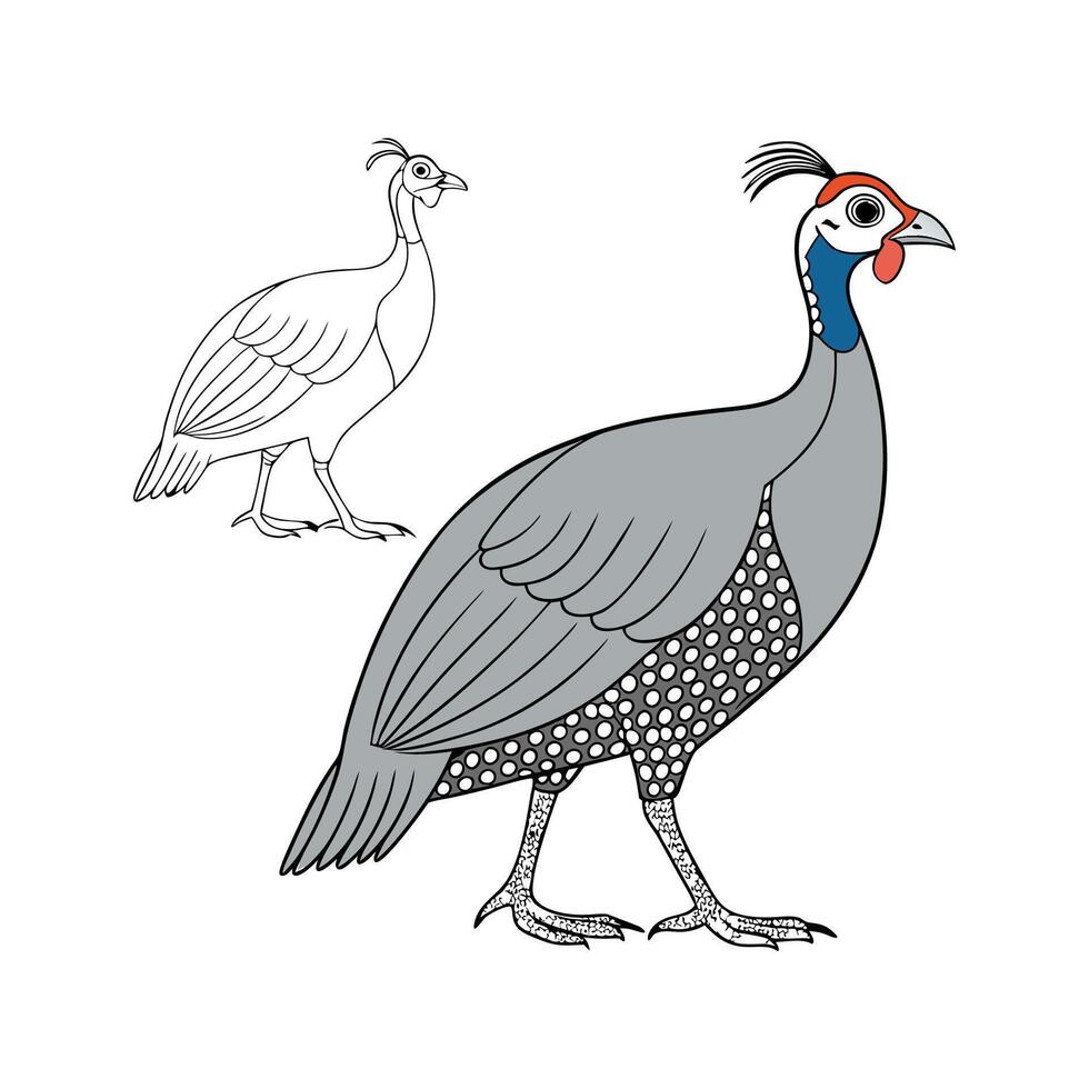 Stylish Guinea Fowl in Vibrant Outline Colors vector